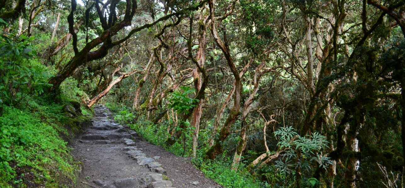 The Short Inca Trail